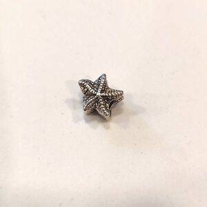 Charmed Memories Sterling Silver Starfish (Sea Star) Bracelet Charm